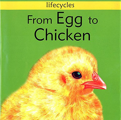 From Egg to Chicken (Lifecycles) (9780749662196) by Gerald Legg; Carolyn Scrace