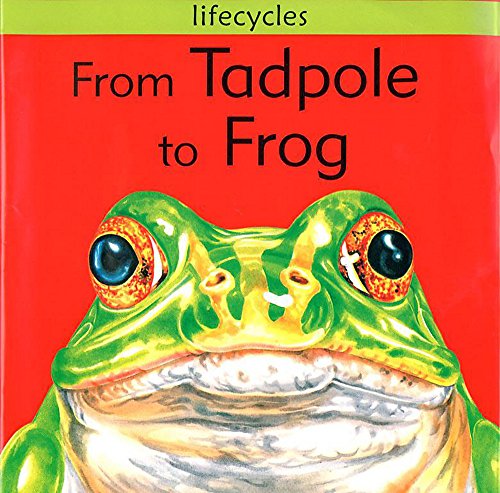 9780749662219: From Tadpole To Frog (Lifecycles)