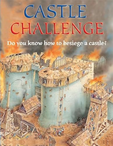 Beispielbild fr Castle (Challenge) zum Verkauf von WorldofBooks