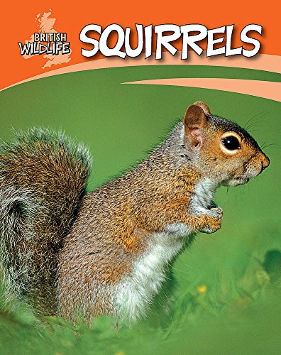 Squirrels (British Wildlife) (9780749679095) by Sally Morgan