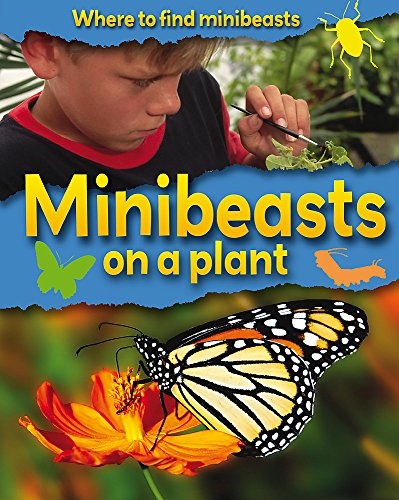 Beispielbild fr Where to Find Minibeasts: Minibeasts on a Plant zum Verkauf von WorldofBooks