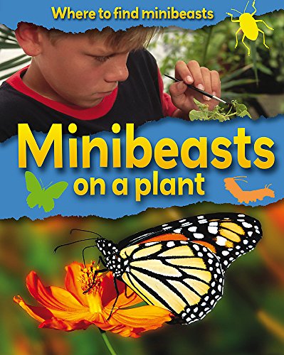 Stock image for Where to Find Minibeasts: Minibeasts on a Plant for sale by WorldofBooks