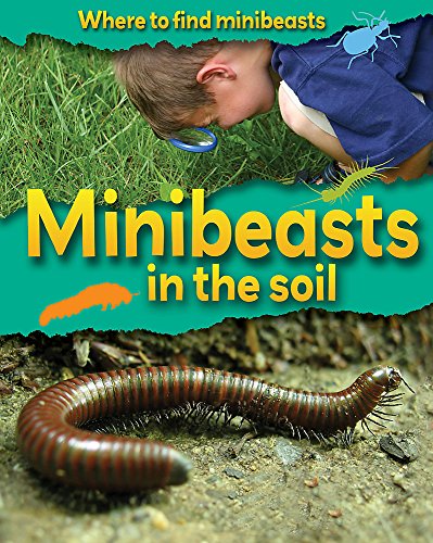 Stock image for Minibeasts In the Soil (Where to Find Minibeasts) for sale by WorldofBooks
