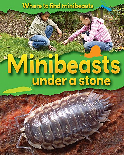 Beispielbild fr Where to Find Minibeasts: Minibeasts Under a Stone zum Verkauf von WorldofBooks