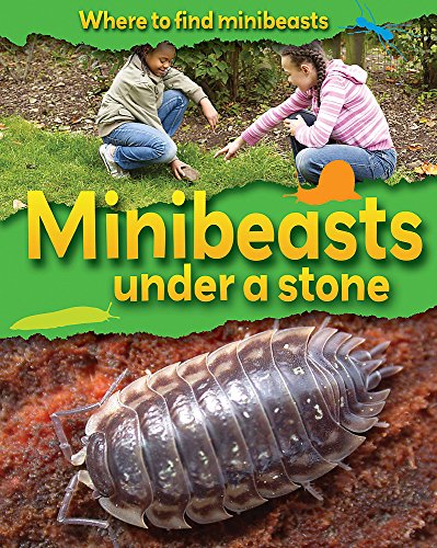 9780749680114: Minibeasts Under a Stone (Where to Find Minibeasts)