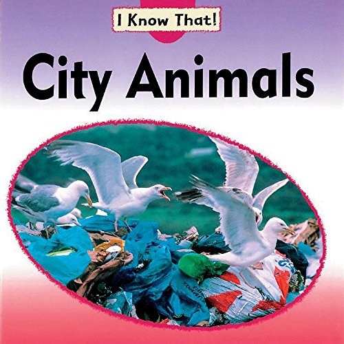 Stock image for I Know That: City Animals for sale by WorldofBooks