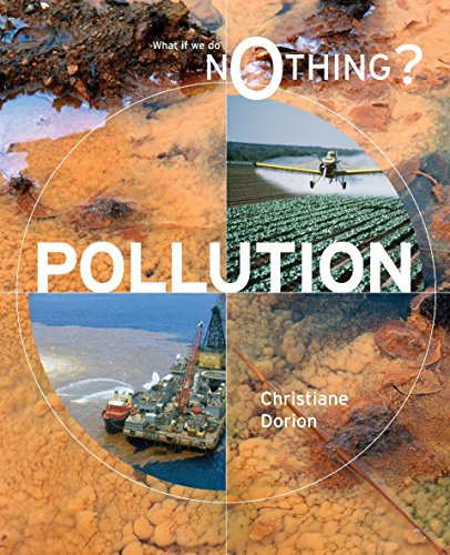 What If We Do Nothing?: Pollution (9780749687465) by Christiane Dorion