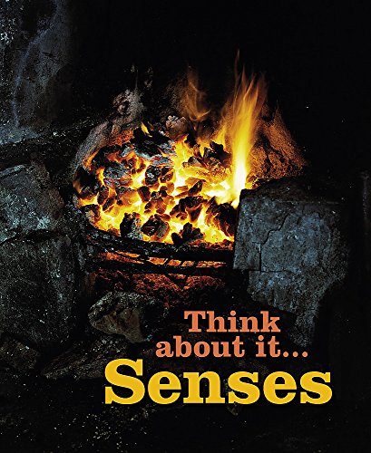 Stock image for Senses (Think About It) for sale by WorldofBooks