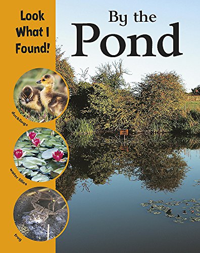 Beispielbild fr Look What I Found!: By The Pond zum Verkauf von WorldofBooks