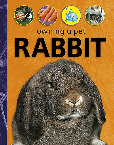 Imagen de archivo de Owning A Pet: Rabbit a la venta por Reuseabook