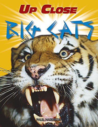 Big Cats (Up Close) (9780749692131) by Harrison, Paul