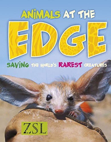 Beispielbild fr Animals At The Edge (One Shot) zum Verkauf von AwesomeBooks