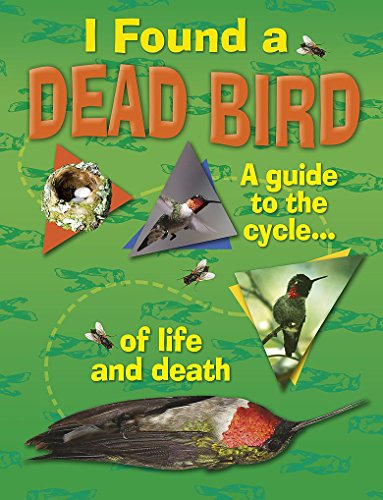 Beispielbild fr I Found A Dead Bird - A guide to the cycle of life and death (One Shot) zum Verkauf von Reuseabook