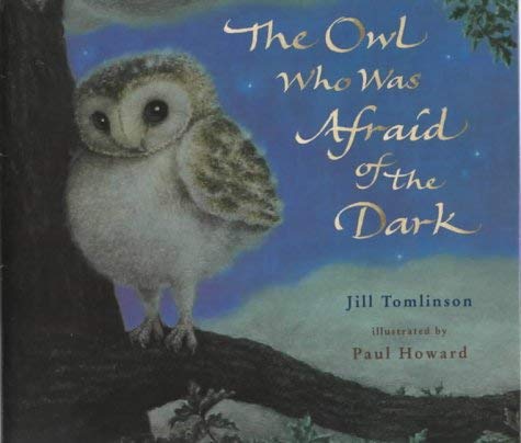 Stock image for The Owl Who Was Afraid of the Dark (Picture Mammoth S.) for sale by WorldofBooks