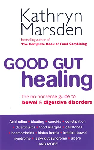 Stock image for Good Gut Healing: The No-Nonsense Guide to Bowel & Digestive Disorders for sale by SecondSale