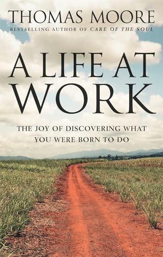 Beispielbild fr A Life At Work: The joy of discovering what you were born to do (Tom Thorne Novels) zum Verkauf von WorldofBooks