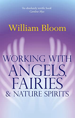 Stock image for Working With Angels, Fairies &amp; Nature Spirits for sale by Blackwell's