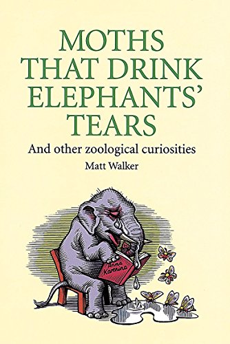 Imagen de archivo de Moths That Drink Elephants' Tears: And other zoological curiosities a la venta por WorldofBooks