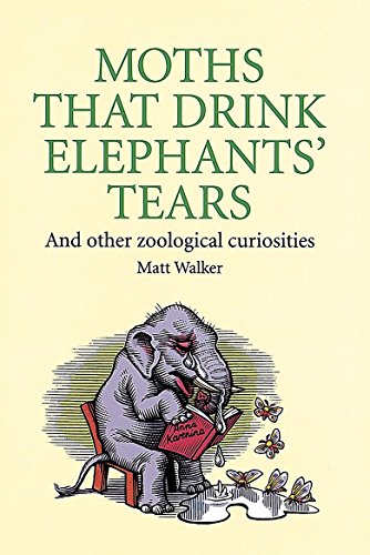 Stock image for Moths That Drink Elephants' Tears: And other zoological curiosities for sale by WorldofBooks