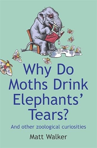 Stock image for Why Do Moths Drink Elephants' Tears?: And Other Zoological Curiosities for sale by WorldofBooks