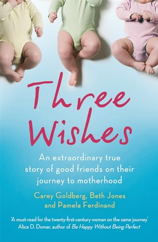 Imagen de archivo de Three Wishes: An Extraordinary True Story of Good Friends on Their Journey to Motherhood a la venta por Goldstone Books