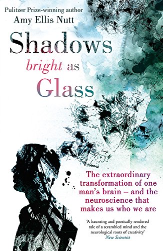 9780749956233: Shadows Bright As Glass: The Extraordinary Transformation of One Man's Brain - and the Neuroscience that Makes Us Who We Are