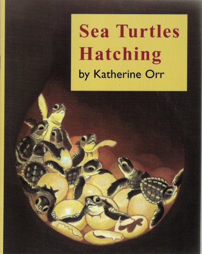 9780750000000: Discover Sea Turtles Hatching (Simon & Schuster Young Books)