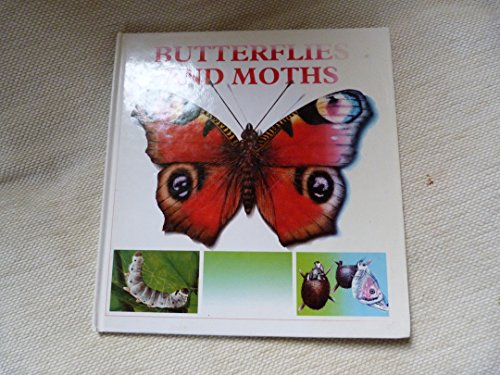 9780750009539: The Fascinating World of Butterflies and Moths (The Fascinating World of ...)