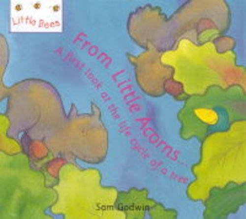 Beispielbild fr Little Bees: From Little Acorns.: A first look at the life cycle of a tree zum Verkauf von WorldofBooks