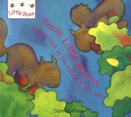 9780750030755: Little Bees: From Little Acorns...: A first look at the life cycle of a tree