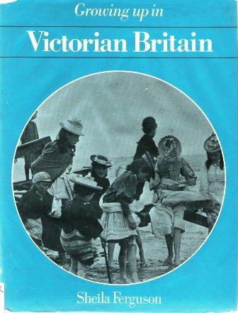 Imagen de archivo de Pb Victorian Britain (Hist.In Ev.) (History in Evidence) a la venta por AwesomeBooks