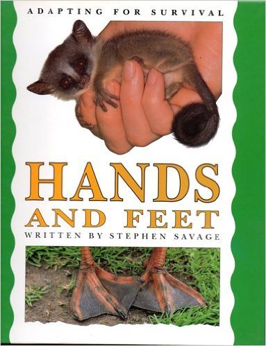 Imagen de archivo de Hands and Feet - Adapting for Survival a la venta por AwesomeBooks