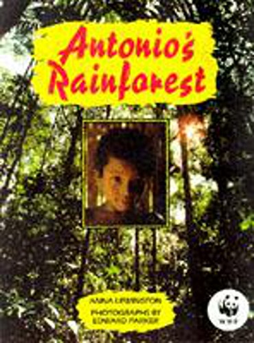 Stock image for Antonio's Rainforest for sale by WorldofBooks