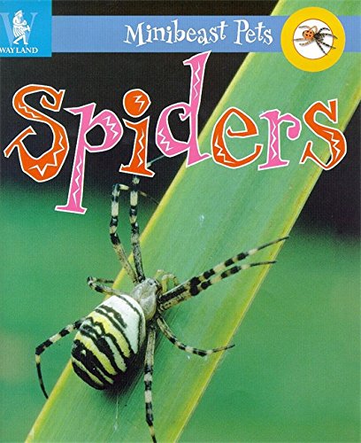 Beispielbild fr Minibeast Pets: Spiders zum Verkauf von AwesomeBooks