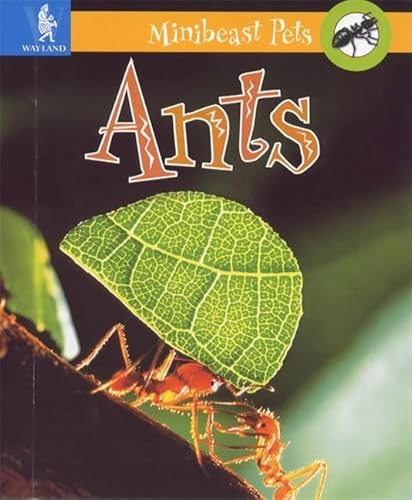 Ants (Minibeast Pets) (9780750226882) by Theresa Greenaway