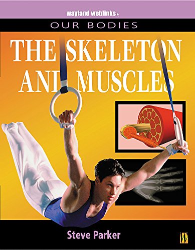 Beispielbild fr Muscles and Skeleton zum Verkauf von WorldofBooks
