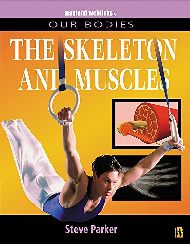 9780750237208: Our Bodies: Muscles and Skeleton