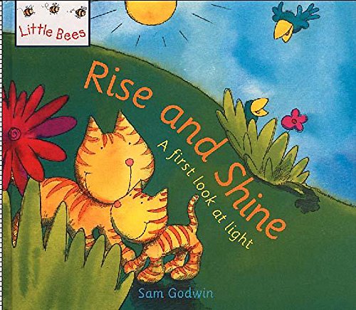 Beispielbild fr Little Bees: Rise and Shine: A first look at light zum Verkauf von WorldofBooks