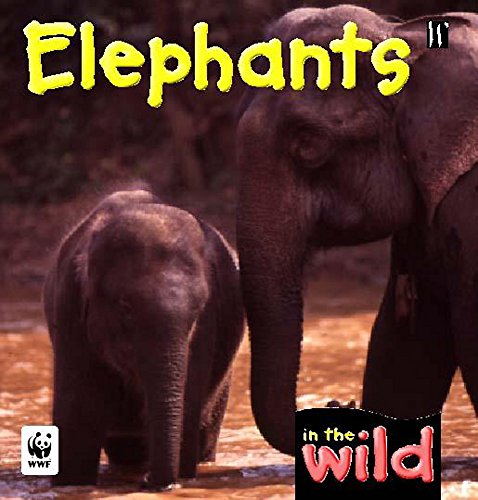Beispielbild fr In The Wild: Elephants zum Verkauf von WorldofBooks