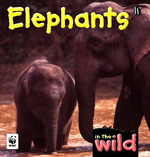 Stock image for In The Wild: Elephants for sale by WorldofBooks