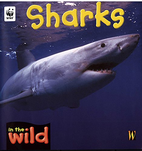 Beispielbild fr In The Wild: Sharks zum Verkauf von WorldofBooks