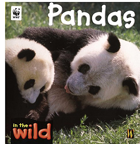 Stock image for In The Wild: Pandas for sale by Reuseabook