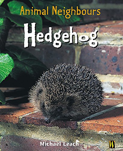 Beispielbild fr Hedgehog (Animal Neighbours) zum Verkauf von WorldofBooks