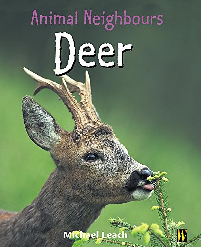 Beispielbild fr Deer (Animal Neighbours) zum Verkauf von WorldofBooks