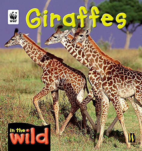 Beispielbild fr Giraffes (In The Wild) zum Verkauf von AwesomeBooks