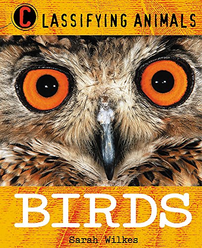 Imagen de archivo de Classifying Animals: Birds a la venta por AwesomeBooks