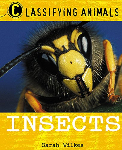 Imagen de archivo de Insects (Classifying Animals) a la venta por Reuseabook