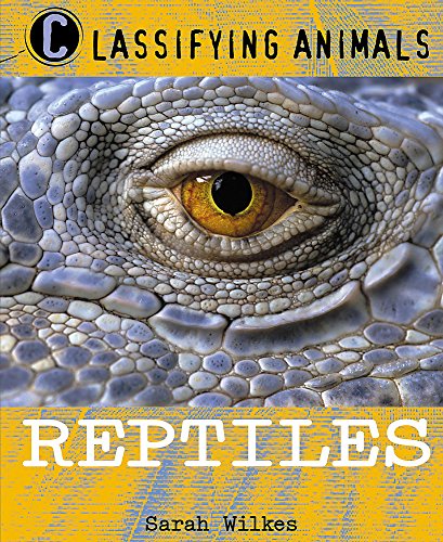 Imagen de archivo de Reptiles a la venta por WorldofBooks