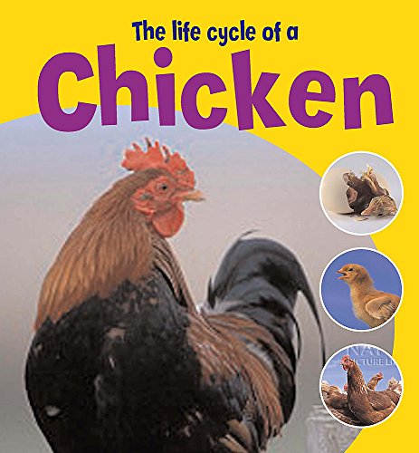 9780750248600: Learning About Life Cycles: The Life Cycle of A Chicken