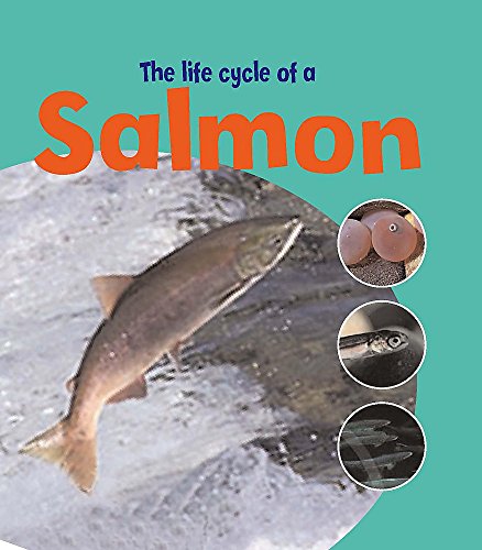 Salmon (Learning About Life Cycles) (9780750248631) by Ruth Thomson